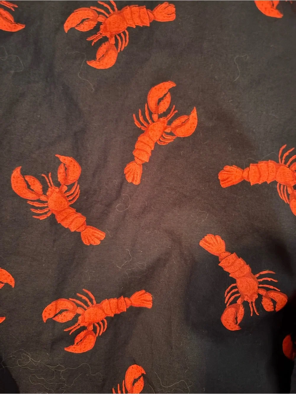 J. Crew Short-Sleeve Navy Shirt with Red Lobster Print Preppy Travel Summer